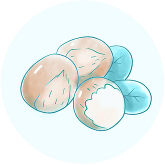 Collagen