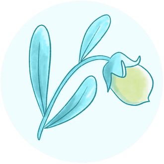 Ceramides